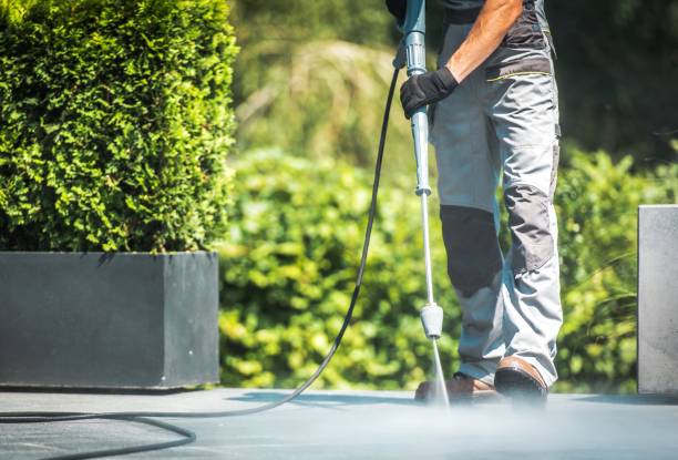 Best Paint Preparation  in Weber City, VA
